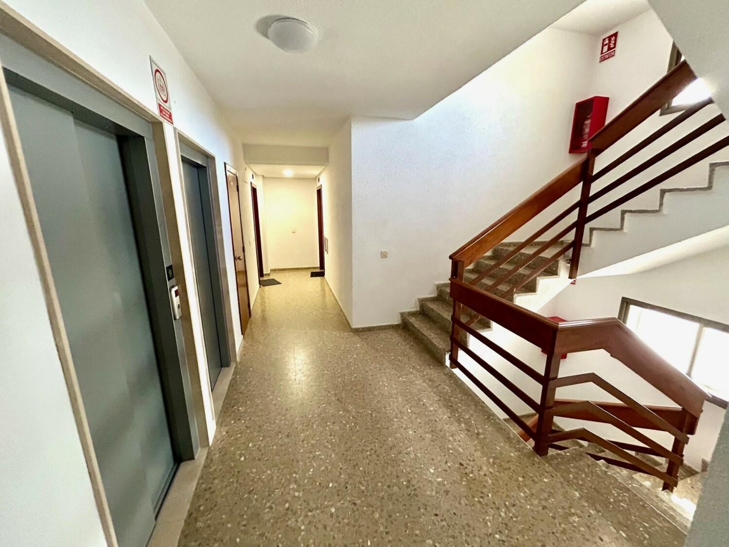 אל פוארטו דה סנטה מריה Gatu Arena " Preferente Mayores De 25 Anos Y Familias " מראה חיצוני תמונה